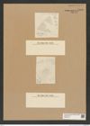 Diatomeae indet. Zeichnungen Sammlung Grunow Nr. 7606 (NHMW-BOT-W0376774)